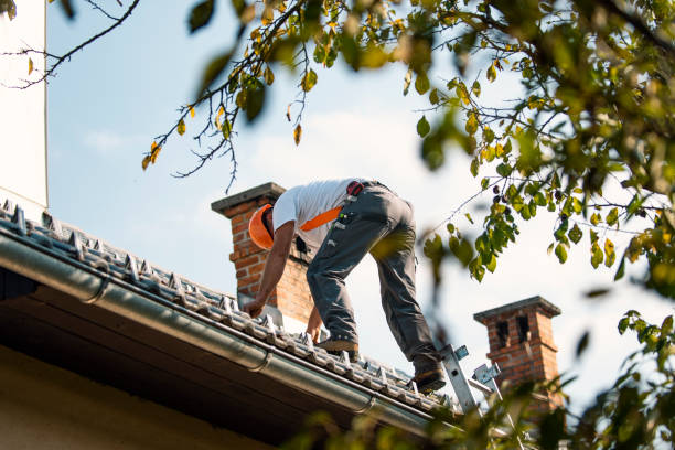 Best Flat Roof Repair Services  in Justice, IL