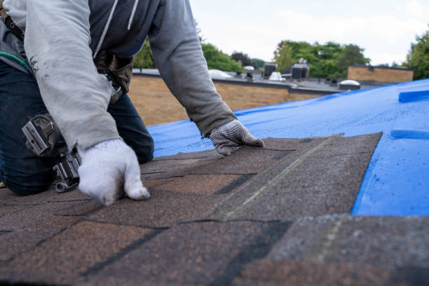 Tile Roofing Contractor in Justice, IL