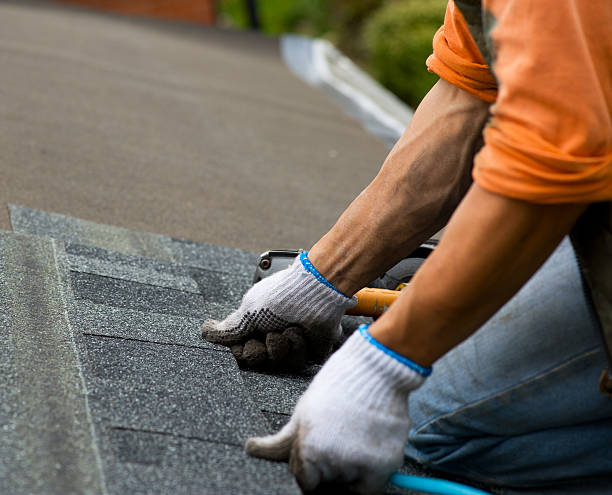 Best Roof Restoration Services  in Justice, IL