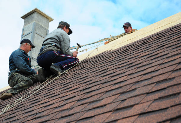 Best Roof Repair Services  in Justice, IL